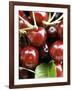 Cherries-Foodcollection-Framed Photographic Print