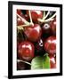 Cherries-Foodcollection-Framed Photographic Print