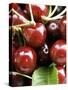 Cherries-Foodcollection-Stretched Canvas