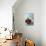 Cherries-Eising Studio - Food Photo and Video-Photographic Print displayed on a wall