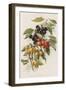 Cherries-null-Framed Giclee Print