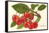 Cherries-null-Framed Stretched Canvas