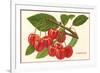 Cherries-null-Framed Art Print