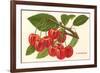 Cherries-null-Framed Art Print