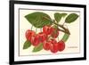 Cherries-null-Framed Art Print