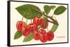 Cherries-null-Framed Stretched Canvas