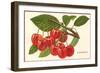 Cherries-null-Framed Art Print