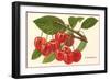 Cherries-null-Framed Art Print