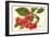 Cherries-null-Framed Art Print