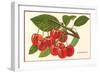 Cherries-null-Framed Art Print