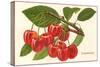 Cherries-null-Stretched Canvas