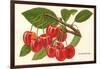 Cherries-null-Framed Art Print