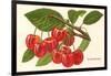 Cherries-null-Framed Art Print