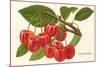 Cherries-null-Mounted Premium Giclee Print