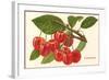 Cherries-null-Framed Art Print