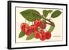 Cherries-null-Framed Art Print