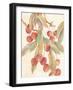 Cherries-unknown VanDyk-Framed Art Print