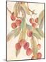 Cherries-unknown VanDyk-Mounted Art Print