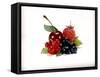Cherry and Fresh Berries-Klaus Stemmler-Framed Stretched Canvas