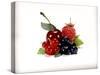 Cherry and Fresh Berries-Klaus Stemmler-Stretched Canvas