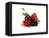 Cherry and Fresh Berries-Klaus Stemmler-Framed Stretched Canvas