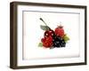 Cherry and Fresh Berries-Klaus Stemmler-Framed Photographic Print