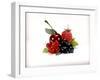 Cherry and Fresh Berries-Klaus Stemmler-Framed Photographic Print