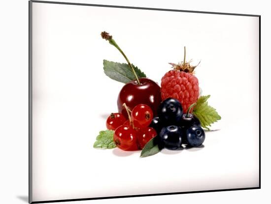 Cherry and Fresh Berries-Klaus Stemmler-Mounted Photographic Print
