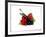 Cherry and Fresh Berries-Klaus Stemmler-Framed Photographic Print