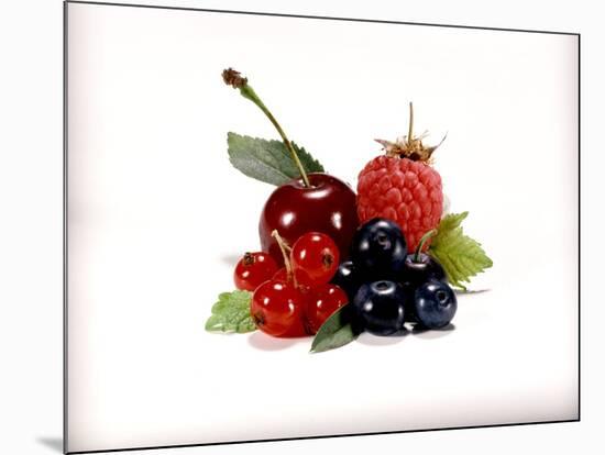 Cherry and Fresh Berries-Klaus Stemmler-Mounted Photographic Print