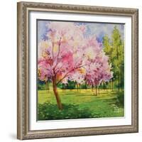 Cherry Blooms I-Blue Fish-Framed Art Print