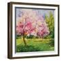 Cherry Blooms I-Blue Fish-Framed Art Print