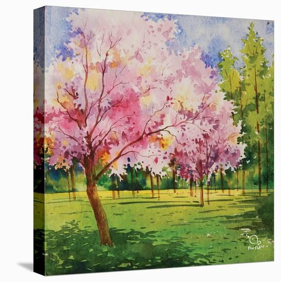 Cherry Blooms I-Blue Fish-Stretched Canvas