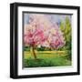 Cherry Blooms I-Blue Fish-Framed Art Print