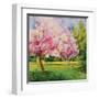 Cherry Blooms I-Blue Fish-Framed Art Print