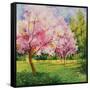 Cherry Blooms I-Blue Fish-Framed Stretched Canvas