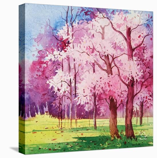 Cherry Blooms II-Blue Fish-Stretched Canvas