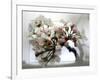 Cherry Blooms-Karen Williams-Framed Photographic Print