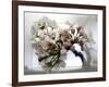 Cherry Blooms-Karen Williams-Framed Photographic Print