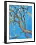 CHERRY BLOSSOM #1-ALLAYN STEVENS-Framed Art Print