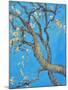 CHERRY BLOSSOM #1-ALLAYN STEVENS-Mounted Art Print