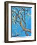 CHERRY BLOSSOM #1-ALLAYN STEVENS-Framed Art Print