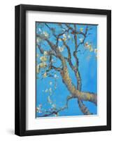 CHERRY BLOSSOM #1-ALLAYN STEVENS-Framed Art Print