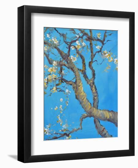 CHERRY BLOSSOM #1-ALLAYN STEVENS-Framed Art Print