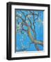 CHERRY BLOSSOM #1-ALLAYN STEVENS-Framed Art Print