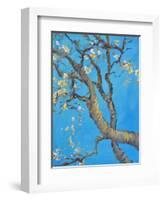 CHERRY BLOSSOM #1-ALLAYN STEVENS-Framed Art Print