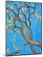 CHERRY BLOSSOM #1-ALLAYN STEVENS-Mounted Art Print