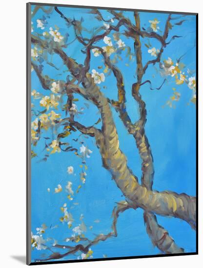 CHERRY BLOSSOM #1-ALLAYN STEVENS-Mounted Art Print