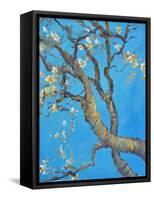 CHERRY BLOSSOM #1-ALLAYN STEVENS-Framed Stretched Canvas