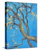 CHERRY BLOSSOM #1-ALLAYN STEVENS-Stretched Canvas